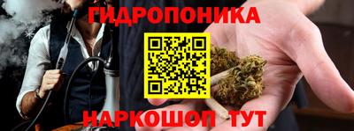 a pvp Сланцы