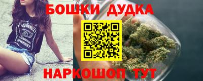 a pvp Сланцы