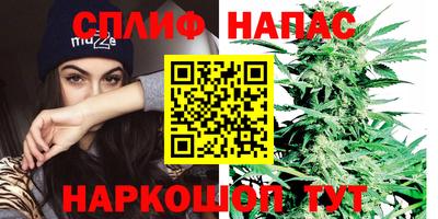 ешки Славянск-на-Кубани